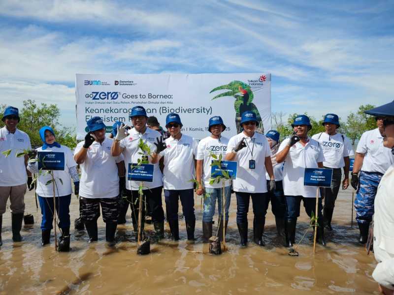 <p>GoZero% Goes to Borneo, Telkom Tanam 5 Ribu Mangrove di Tarakan</p> <p>GoZero% Goes to Borneo, Telkom Tanam 5 Ribu Mangrove di Tarakan</p>